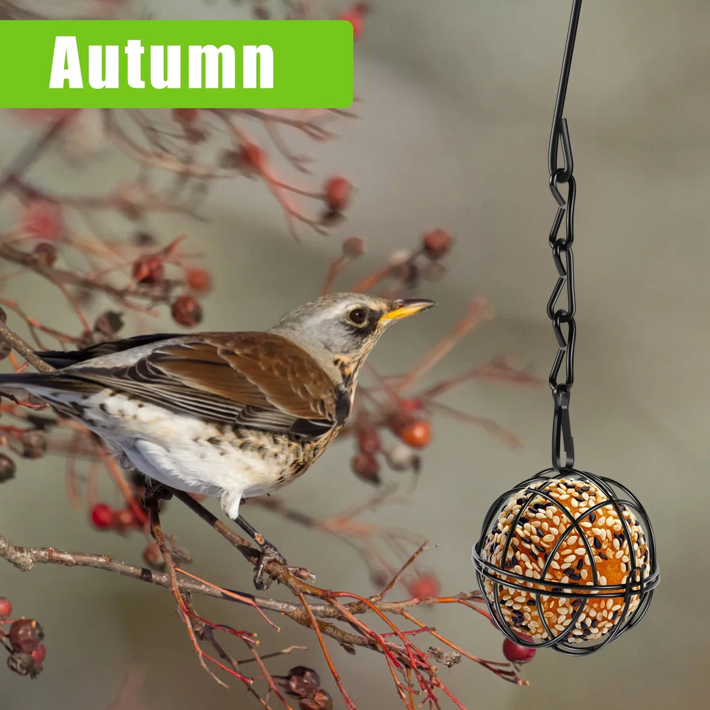 4 Pack Suet Ball Bird Feeder Set Metal Station Kit Outside