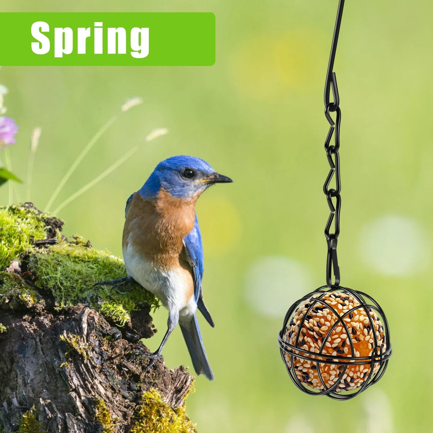 4 Pack Suet Ball Bird Feeder Set Metal Station Kit Outside