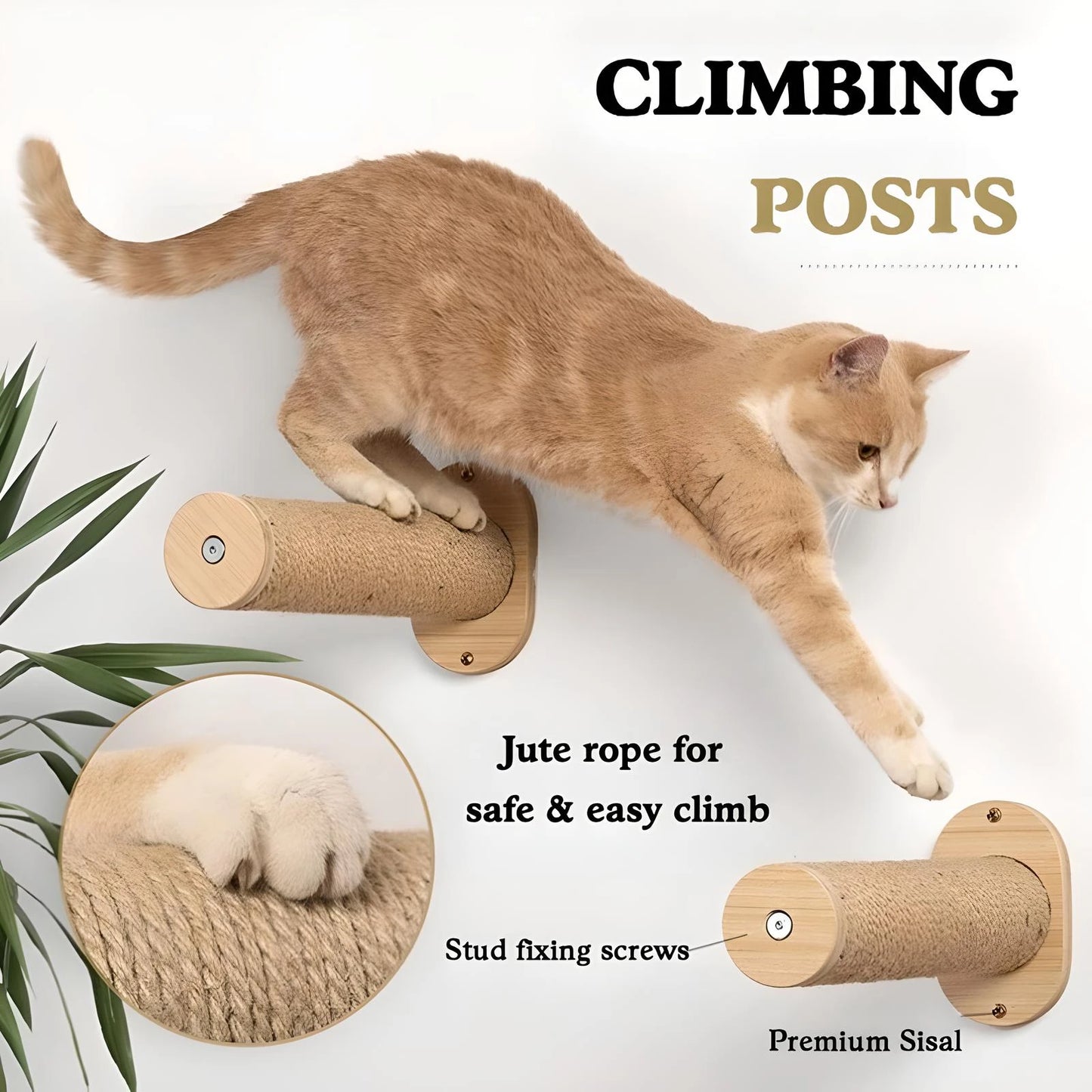 Cat Hammock Wall Mounted Two Steps Cat Wall Shelves