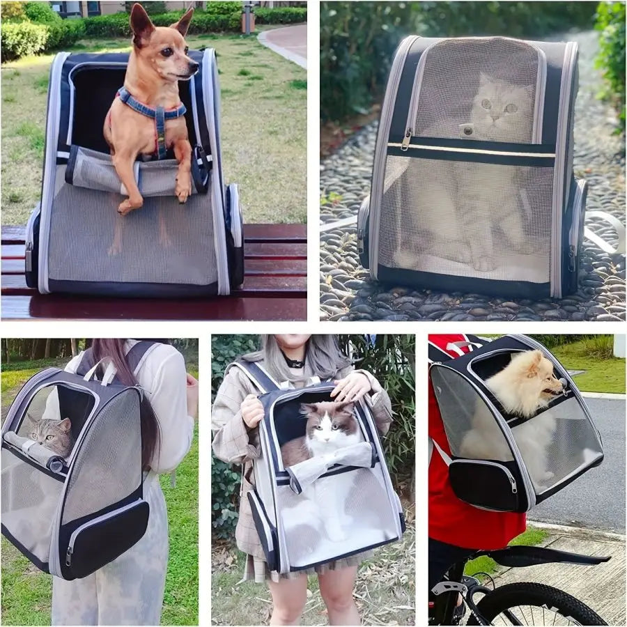 Innovative Traveler Bubble Backpack Pet Carriers for Cats and Dogs