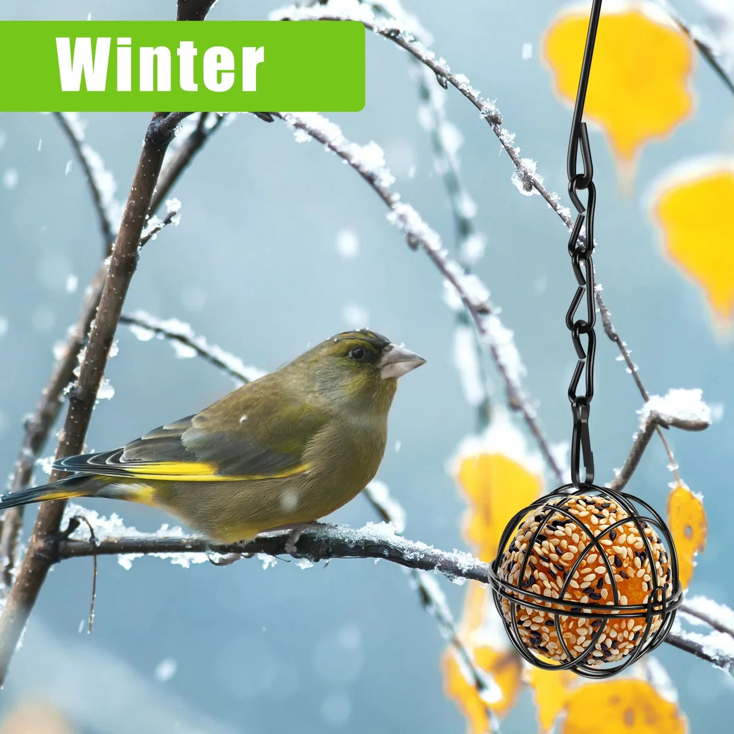 4 Pack Suet Ball Bird Feeder Set Metal Station Kit Outside