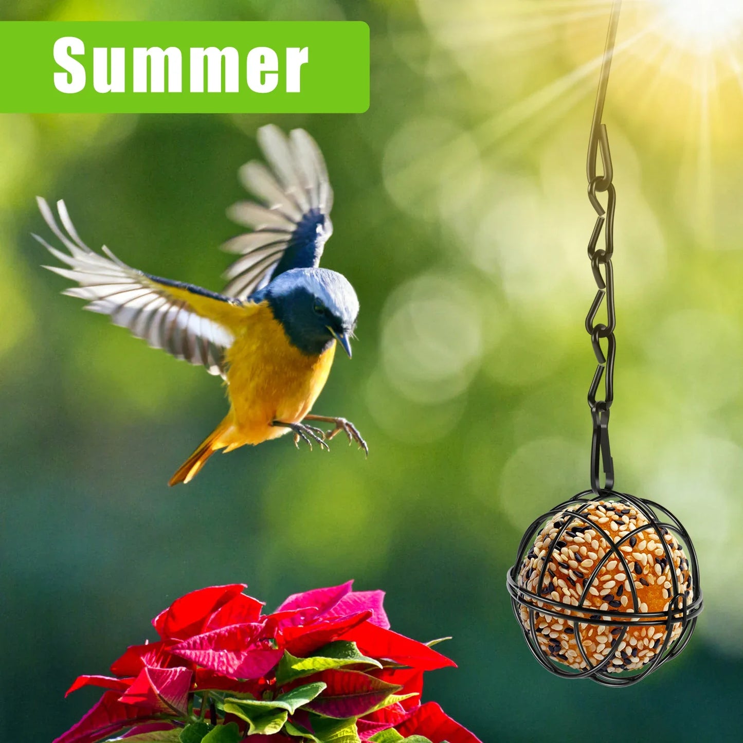 4 Pack Suet Ball Bird Feeder Set Metal Station Kit Outside