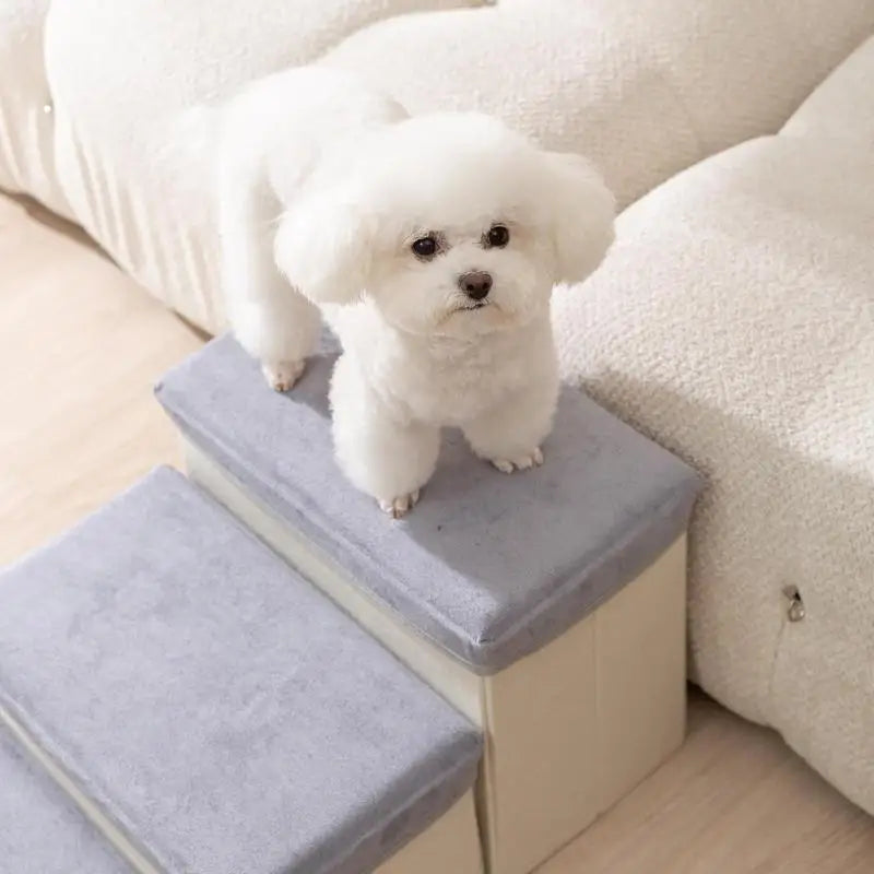 Foldable Durable Puppy Ramp Climbing Ladder 2/3 Steps Breathable Pet Stairs for Indoor Use